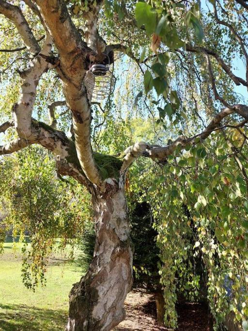 The Squirrels- Alresford, Essex Apartment Bagian luar foto